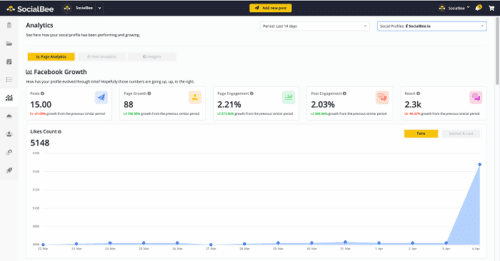 SocialBee Facebook Analytics