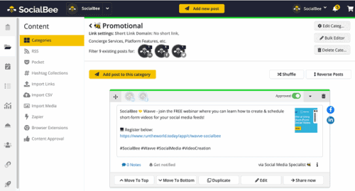 SocialBee content category
