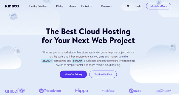 Kinsta hosting